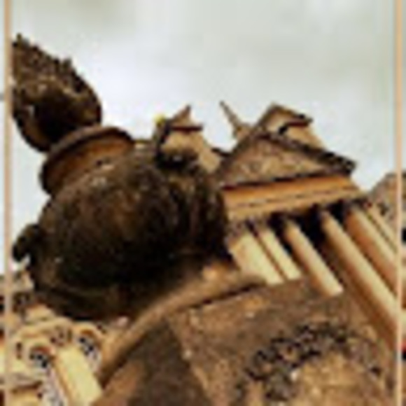 Meet your Posher, Rilla - Picture 1 of 1